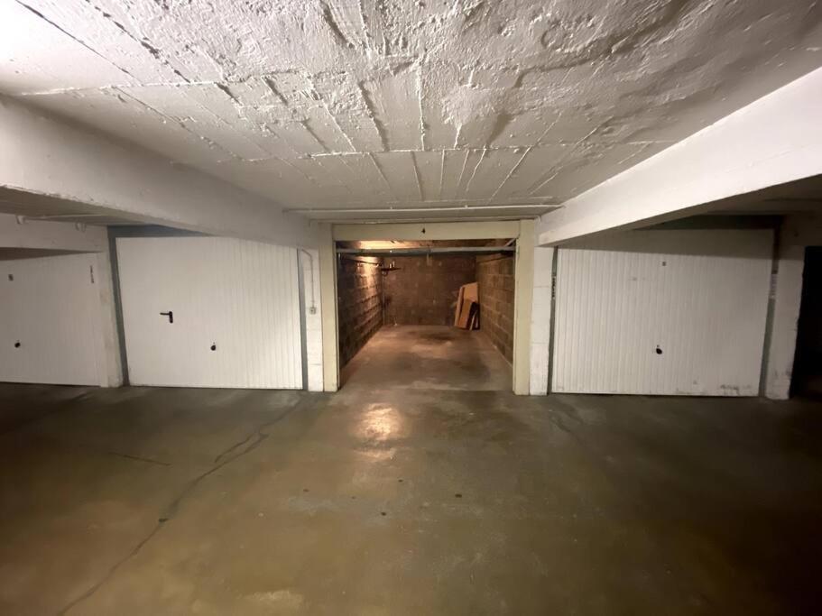 T3 De 73 M2 , Garage , Vue Montagnes Et Chateau Annecy Exterior foto